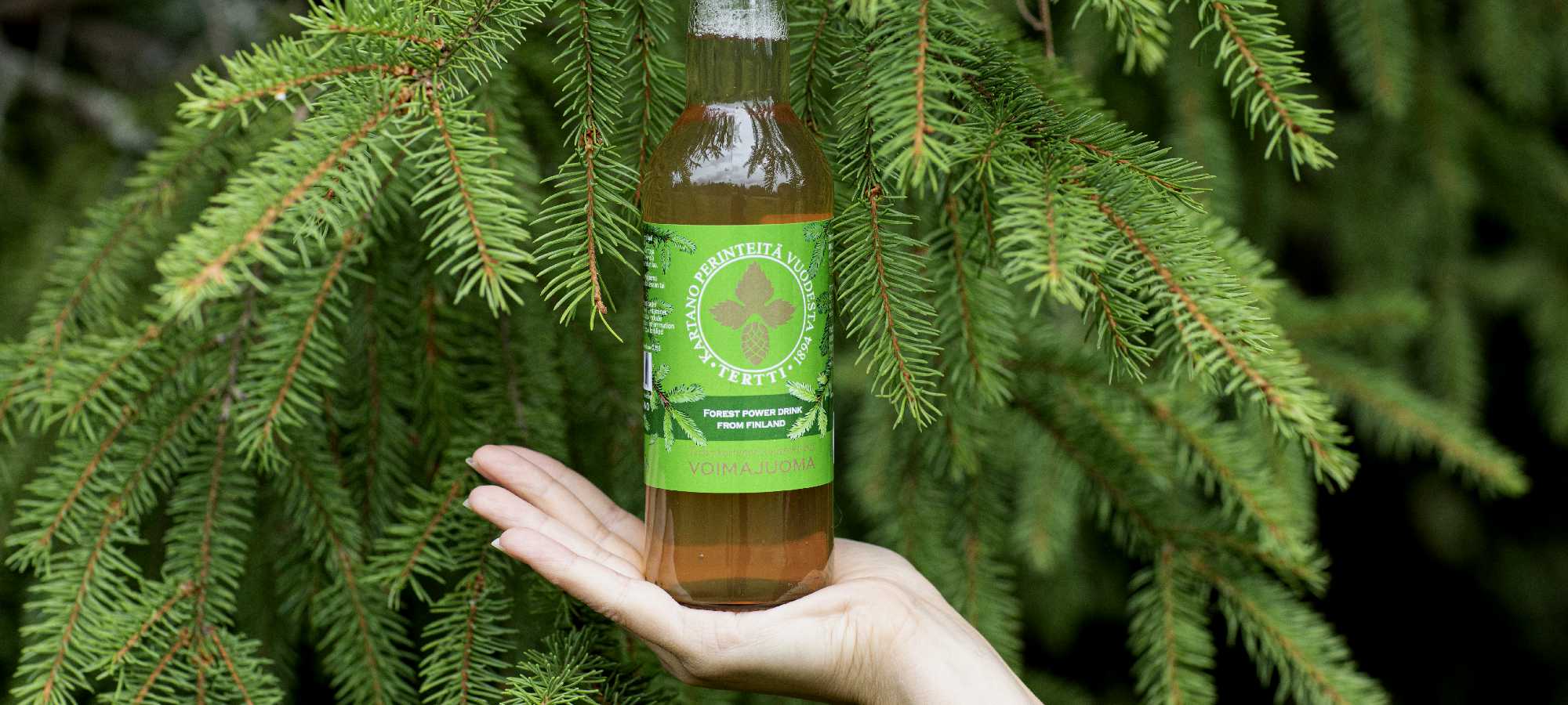 kuusenkerkkäjuoma forest power drink